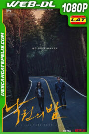 Noche en el paraíso (2020) 1080p WEB-DL Latino