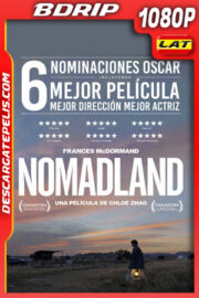 Nomadland (2021) 1080p BDrip Latino