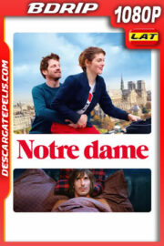 Notre Dame (2019) 1080p BDrip Latino