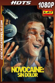 Novocaine: Sin dolor (2025) Latino