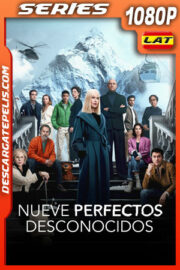 Nueve perfectos desconocidos Temporada 2 (2025) 1080p WEB-DL Latino