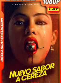Nuevo sabor a cereza (2021) Temporada 1 1080p WEB-DL Latino