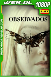 Observados (2024) 1080p WEB-DL Latino