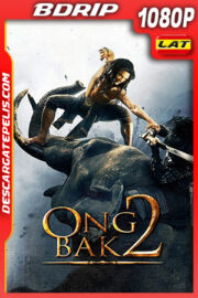 Ong Bak 2: El inicio (2008) 1080p BDRip Latino