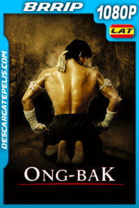 Ong Bak: El guerrero Muay Thai (2003) 1080p BRRip Latino