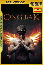 Ong Bak: El guerrero Muay Thai (2003) 1080p Remux Latino