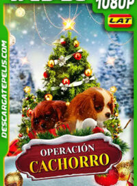 Operación Cachorro (2019) 1080p WEB-DL Latino
