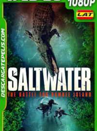 Operación matador (2022) 1080p WEB-DL Latino