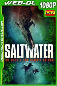 Operación matador (2022) 1080p WEB-DL Latino