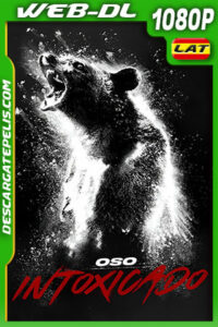 Oso intoxicado (2023) 1080p WEB-DL Latino