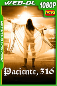 Paciente, 316 (2020) 1080p WEB-DL Latino