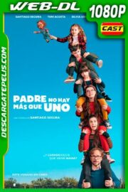 Padre no hay más que uno (2019) 1080p WEB-DL Castellano