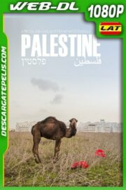 Palestina: Una tierra en conflicto (2017) 1080p WEB-DL AMZN Latino