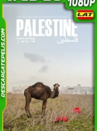 Palestina: Una tierra en conflicto (2017) 1080p WEB-DL AMZN Latino