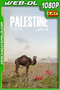 Palestina: Una tierra en conflicto (2017) 1080p WEB-DL AMZN Latino