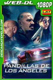 Pandillas de Los Ángeles (2023) 1080p WEB-DL Latino