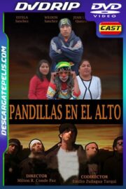 Pandillas en el Alto (2009) DVDRip Latino