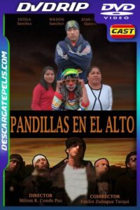 Pandillas en el Alto (2009) DVDRip Latino