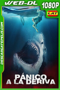 Pánico a la deriva (2022) 1080p WEB-DL AMZN Latino
