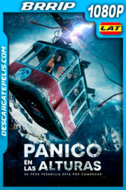 Panico en las alturas (2019) 1080p BRRip Latino