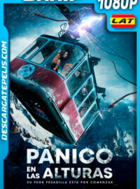 Panico en las alturas (2019) 1080p BRRip Latino
