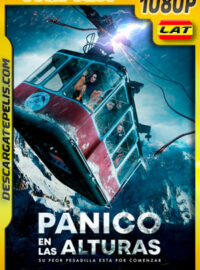 Panico en las alturas (2019) 1080p Remux Latino