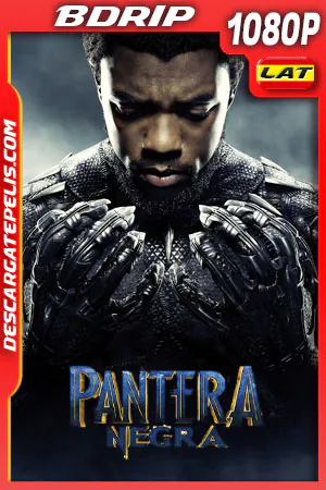 Ver o Descargar Pantera Negra BDRIP (2023) LATINO