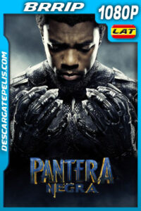 Pantera Negra (2018) 1080p BRrip Latino