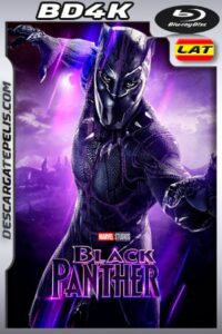 Pantera Negra (2018) BD4K HDR Latino – Ingles