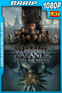 Pantera Negra: Wakanda por Siempre (2022) 1080p BRRip Latino
