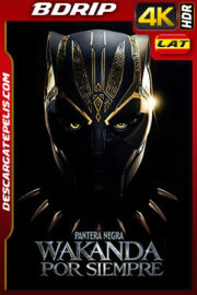 Pantera Negra: Wakanda por Siempre (2022) 4K BDRip HDR Latino