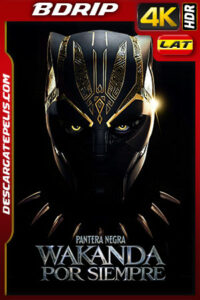 Pantera Negra: Wakanda por Siempre (2022) 4K BDRip HDR Latino