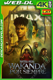 Pantera Negra: Wakanda por Siempre (2022) IMAX 4K WEB-DL HDR Latino