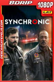 Paratemporal (2019) 1080p BDrip Latino