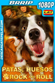 Patas huesos y Rock and Roll (2015) 1080p BRRip Latino