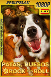 Patas huesos y Rock and Roll (2015) 1080p Remux Latino