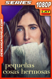 Pequeñas cosas hermosas Temporada 1 (2023) 1080p WEB-DL Latino