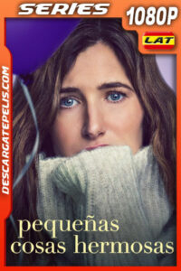 Pequeñas cosas hermosas Temporada 1 (2023) 1080p WEB-DL Latino