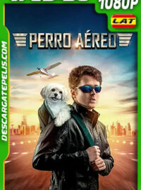 Perro aéreo (2020) 1080p WEB-DL Latino