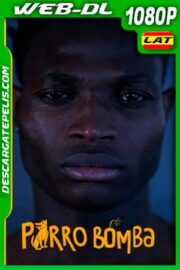 Perro bomba (2019) 1080p WEB-DL Latino