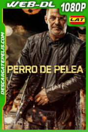 Perro de Pelea (2024) 1080p WEB-DL Latino