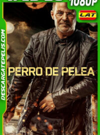 Perro de Pelea (2024) 1080p WEB-DL Latino