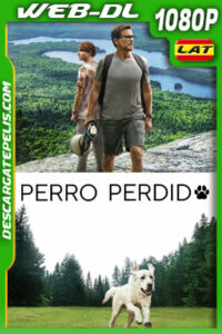 Perro perdido (2023) 1080p WEB-DL Latino