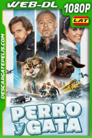 Perro y gata (2024) 1080p WEB-DL Latino