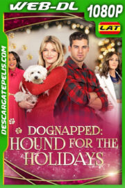 Perruestrado en Navidad (2022) 1080p WEB-DL Latino