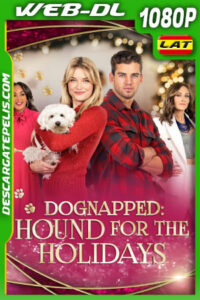 Perruestrado en Navidad (2022) 1080p WEB-DL Latino