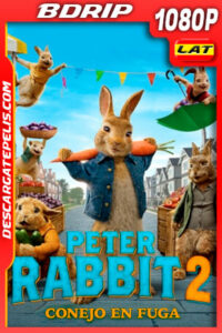 Peter Rabbit 2 Conejo en fuga (2021) 1080p BDRip Latino