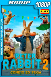 Peter Rabbit 2 Conejo en fuga (2021) 1080p BRRip Latino