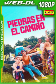 Piedras en el camino (2023) 1080p WEB-DL Latino