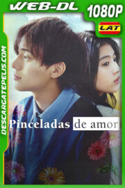 Pinceladas de amor (2024) 1080p WEB-DL Latino